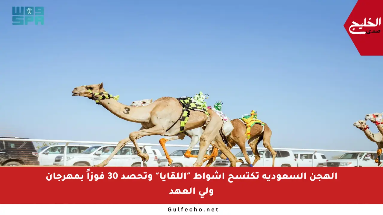 الهجن السعودية تكتسح أشواط “اللقايا” وتحصد 30 فوزاً بمهرجان ولي العهد